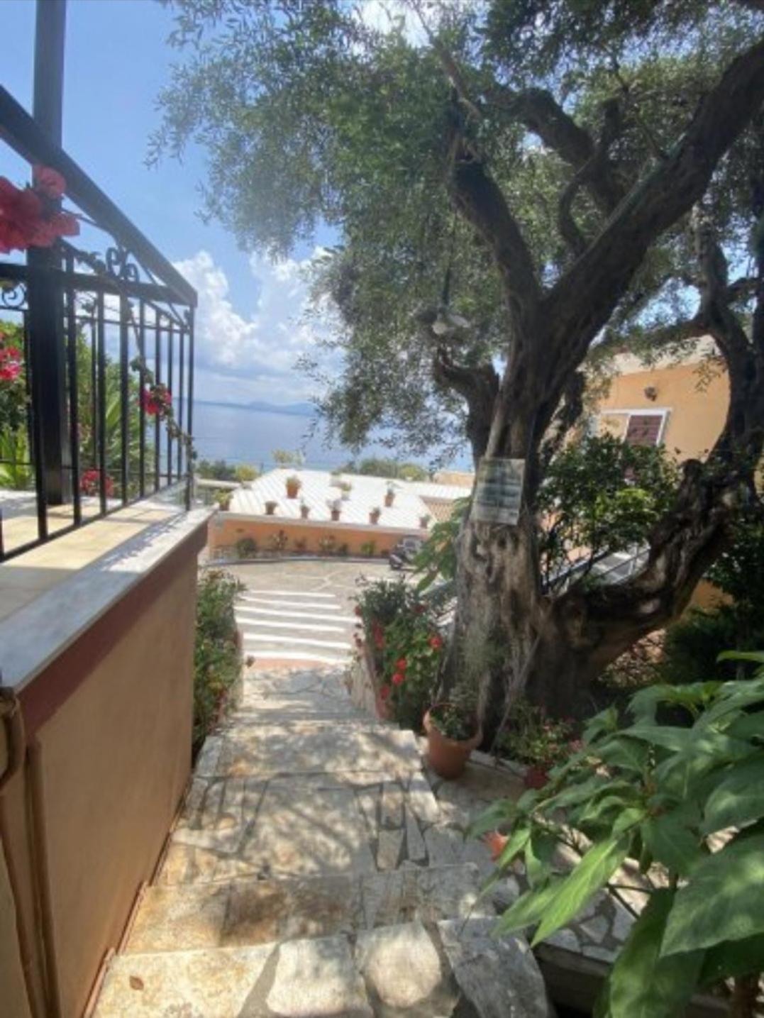 Emilios See View Apartment Barbati Bagian luar foto